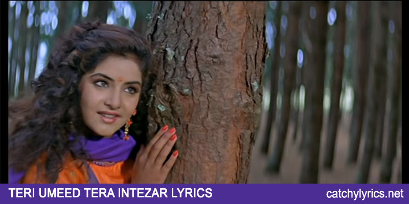Teri Umeed Tera Intezar Lyrics – Deewana – Kumar Sanu images